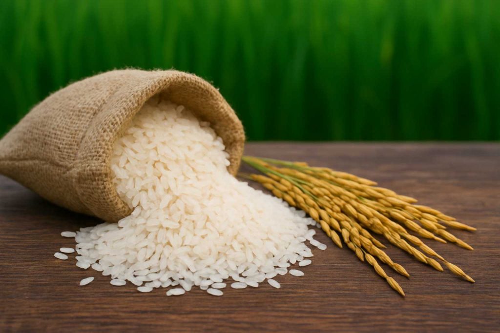برنج ارگانیک چیست؟ و چرا باید به فکر سلامتی خود باشیم